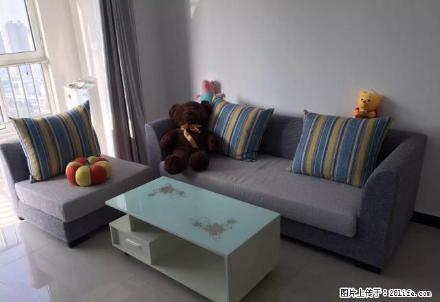 海世界 地铁口 精装婚房 无中介啡 好房不等人 - 房屋出租 - 房屋租售 - 石家庄分类信息 - 石家庄28生活网 sjz.28life.com