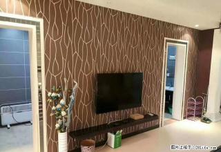 藏龙福地旁边 大马庄园 精装三室出租 物美价廉 抓紧时间看房 - 石家庄28生活网 sjz.28life.com