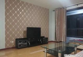 藏龙 两室出租 照片真实 看房随时 - 石家庄28生活网 sjz.28life.com