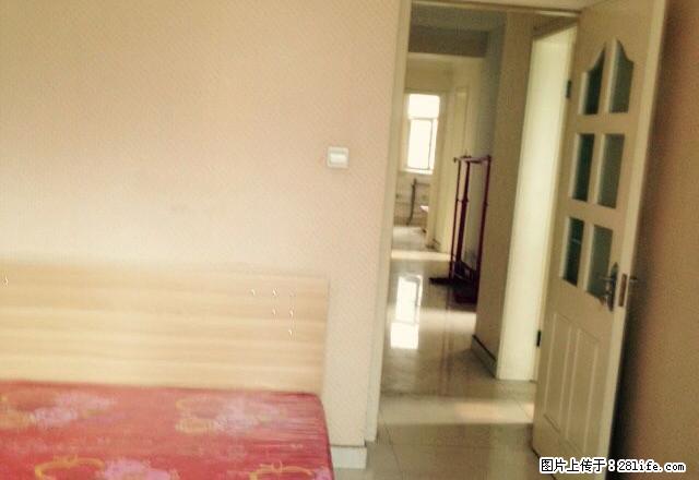 (单间出租)怀特商城 万达旁 个人精装四室 月付495至699 家电齐全 - 房屋出租 - 房屋租售 - 石家庄分类信息 - 石家庄28生活网 sjz.28life.com