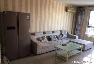 万达精装两室 全新家具家电 房东急租 价格可谈 - 石家庄28生活网 sjz.28life.com