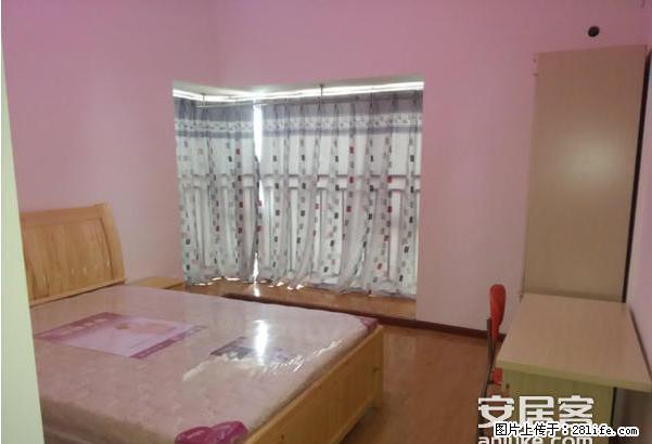 (单间出租)桥西红旗西美花街单间包水电物业220元到800元都有 - 房屋出租 - 房屋租售 - 石家庄分类信息 - 石家庄28生活网 sjz.28life.com