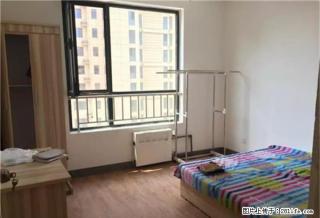 (单间出租)滨江国际 勒泰 北国商城汇翠庭苑主卧700 隔断450 - 石家庄28生活网 sjz.28life.com