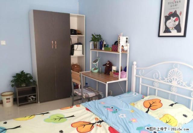 解放广场附近REX旁精装一室,无中介镄,包物业费和网费 - 房屋出租 - 房屋租售 - 石家庄分类信息 - 石家庄28生活网 sjz.28life.com