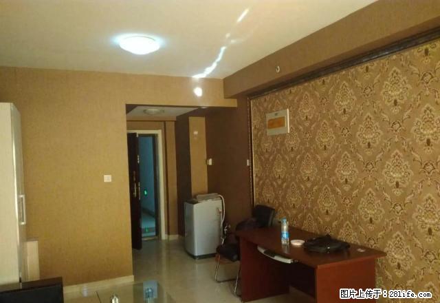 华强广场 精装 拎包入住 采光好 新华 二中 金亿城 金指数 - 房屋出租 - 房屋租售 - 石家庄分类信息 - 石家庄28生活网 sjz.28life.com