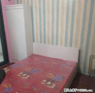 (单间出租)个人直租 中山华府 北国勒泰附近 拎包入住 真实图片 - 石家庄28生活网 sjz.28life.com