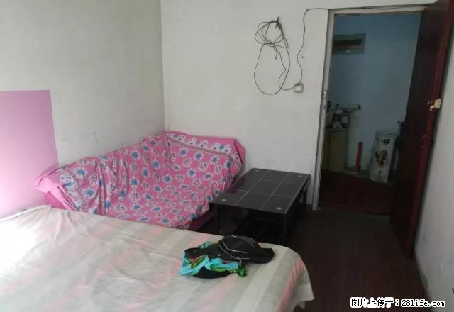 (单间出租)(单间出租)丰河苑东区人民学府 5室 中等装修 免中介费 - 房屋出租 - 房屋租售 - 石家庄分类信息 - 石家庄28生活网 sjz.28life.com