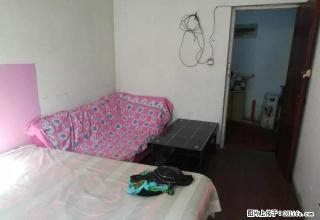 (单间出租)（单间出租）丰河苑东区人民学府 5室 中等装修 免中介费 - 石家庄28生活网 sjz.28life.com