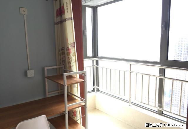 (单间出租)奥北公元 精装修 免物业 免暖费 家电齐全 拎包入住 - 房屋出租 - 房屋租售 - 石家庄分类信息 - 石家庄28生活网 sjz.28life.com