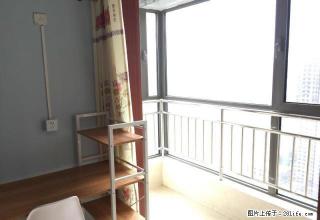 (单间出租)奥北公元 精装修 免物业 免暖费 家电齐全 拎包入住 - 石家庄28生活网 sjz.28life.com