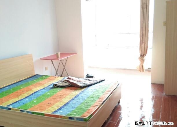 (单间出租)中储广场 信誉楼 华林国际 独卫大主卧带阳台无中介费 - 房屋出租 - 房屋租售 - 石家庄分类信息 - 石家庄28生活网 sjz.28life.com