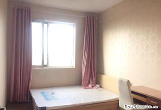 (单间出租)个人（无中.介费）出租单间 众美玉兰苑 朝北 次卧 真实房源 - 石家庄28生活网 sjz.28life.com