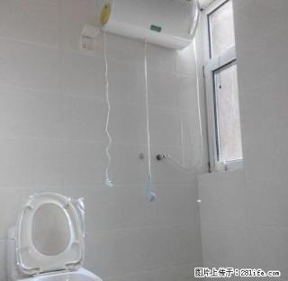 (单间出租)居然丽家恒丰大酒店附近长租免取暖免物业免网费有全自动洗衣机 - 石家庄28生活网 sjz.28life.com