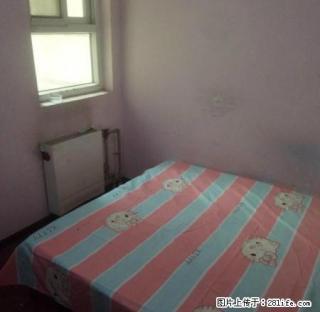 (单间出租)个人急租温馨次卧精装修，免物业费免上网费，紧挨运河桥 - 石家庄28生活网 sjz.28life.com