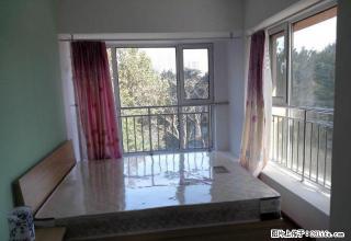 (单间出租)勒泰北国附近中山华府 精装小次卧无中介费 全女生 欢迎致电 - 石家庄28生活网 sjz.28life.com