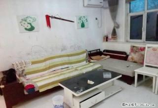 精装两室南北通透、全套家俱家电、拎包入住，有钥匙随时看房 - 石家庄28生活网 sjz.28life.com