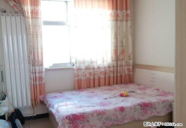 红旗大街新石南路高校区经贸大学对面全套家具家电 - 房屋出租 - 房屋租售 - 石家庄分类信息 - 石家庄28生活网 sjz.28life.com