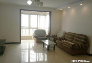 (单间出租)卓达玫瑰园、西三教附近，个人房主卧出租，能洗澡做饭上网拎包入 - 石家庄28生活网 sjz.28life.com