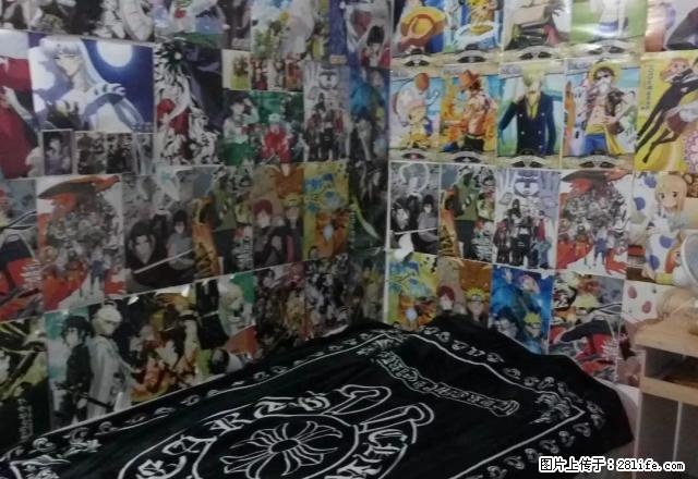 (单间出租)医大附近《全女生单间》押一付一 包物业网费 拎包住 - 房屋出租 - 房屋租售 - 石家庄分类信息 - 石家庄28生活网 sjz.28life.com