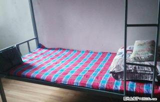 (单间出租)新百广场 太和 品汇 欢迎暑期工的到来 保证安全 干净 便利 - 石家庄28生活网 sjz.28life.com