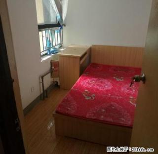 (单间出租)勒泰附近个人单间500/月，无中介，随时看房 - 石家庄28生活网 sjz.28life.com