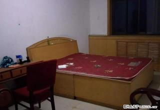 转盘附近新华书店家属院、四室两厅一卫、简单装修、有简单家具 - 石家庄28生活网 sjz.28life.com