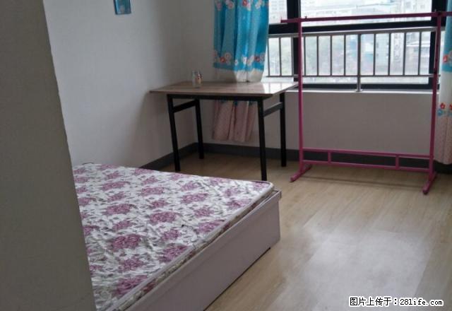 甩租 两室一厅一卫个人的市中心繁华地段 1650实图照片 - 房屋出租 - 房屋租售 - 石家庄分类信息 - 石家庄28生活网 sjz.28life.com