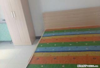 (单间出租)胸科医院附近 义堂国瑞园急租主卧650包物业网费 无中介 - 石家庄28生活网 sjz.28life.com