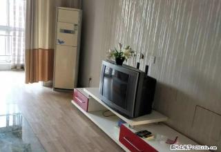 九里庭院东区 精装两室 拎包入住 - 石家庄28生活网 sjz.28life.com