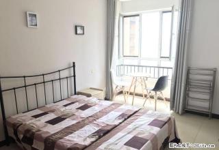 (单间出租)精装三室整租、单租，紧邻勒泰，出行方便，无中介，拎包入住 - 石家庄28生活网 sjz.28life.com