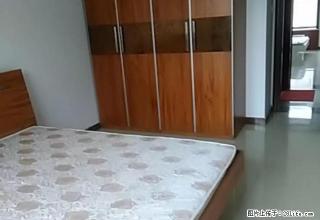 (单间出租)桥西 红旗 西美花街 个人单间240到800都有精装拎包入住 - 石家庄28生活网 sjz.28life.com