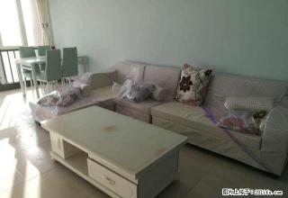 北城国际 精装两室 家具家电齐全 拎包入住随时看房 图片真实 - 石家庄28生活网 sjz.28life.com