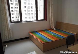 (单间出租)元旦特价房《500全包》押一付一奥北公元 《无忠介费》限三天 - 石家庄28生活网 sjz.28life.com