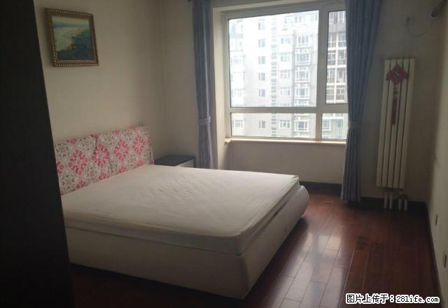 (单间出租)精品公寓单间299可月付!新百华强解放广场附近!家电齐全! - 房屋出租 - 房屋租售 - 石家庄分类信息 - 石家庄28生活网 sjz.28life.com