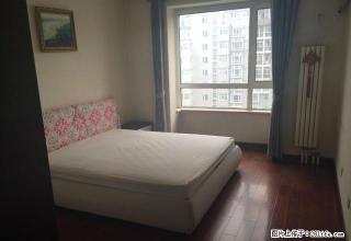 (单间出租)精品公寓单间299可月付！新百华强解放广场附近！家电齐全！ - 石家庄28生活网 sjz.28life.com