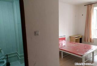 (单间出租)紧邻省二院北院大户型合租次卧免物网干净、交通方便 - 石家庄28生活网 sjz.28life.com