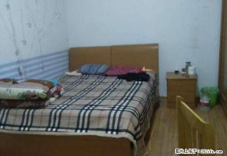 水上公园，北国超市，精装两室，小区内很便宜的一套，急租 - 石家庄28生活网 sjz.28life.com