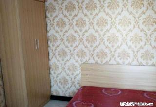 东明苑两室 精装修 无中 介费 家具家电齐全 拎包入住 - 石家庄28生活网 sjz.28life.com