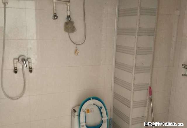 无中介费 两室中的经典,精装. 温馨舒适 干净整洁 - 房屋出租 - 房屋租售 - 石家庄分类信息 - 石家庄28生活网 sjz.28life.com