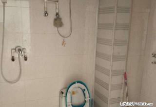 无中介费 两室中的经典，精装. 温馨舒适 干净整洁 - 石家庄28生活网 sjz.28life.com