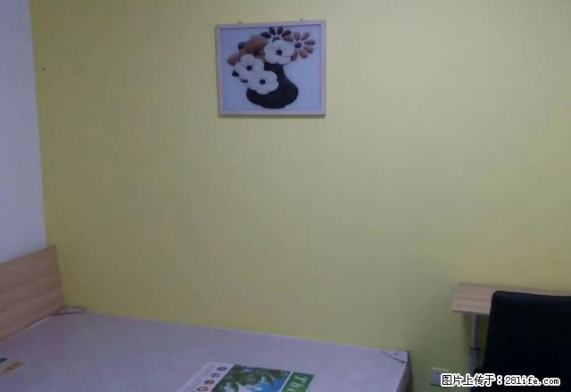 (单间出租)金鼎公寓 合租 无中介费 精装修 紧邻新百广场 看房方便 - 房屋出租 - 房屋租售 - 石家庄分类信息 - 石家庄28生活网 sjz.28life.com