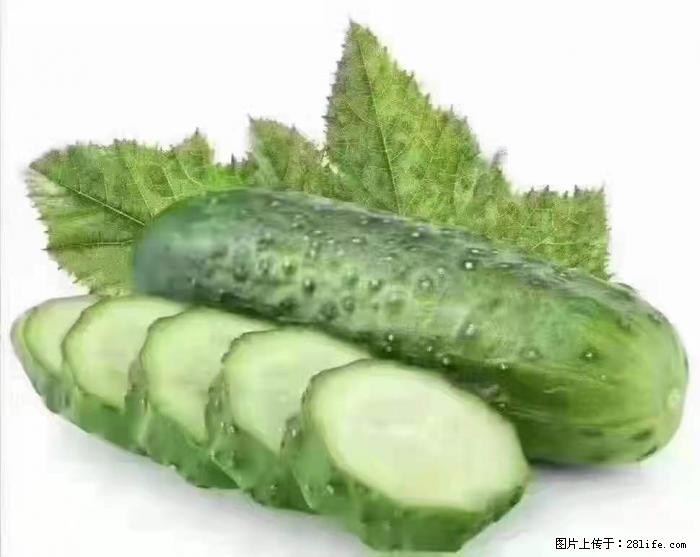 【生活小常识】吃黄瓜的好处 - 生活百科 - 石家庄生活社区 - 石家庄28生活网 sjz.28life.com