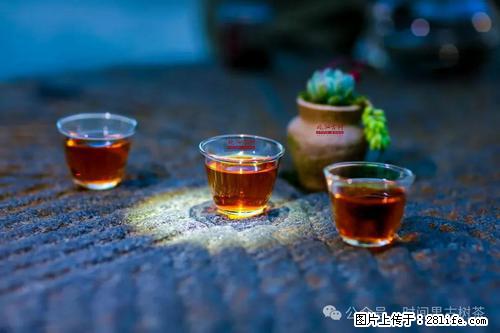 时间果百年古树2025年春红茶 - 购物交流 - 石家庄生活社区 - 石家庄28生活网 sjz.28life.com