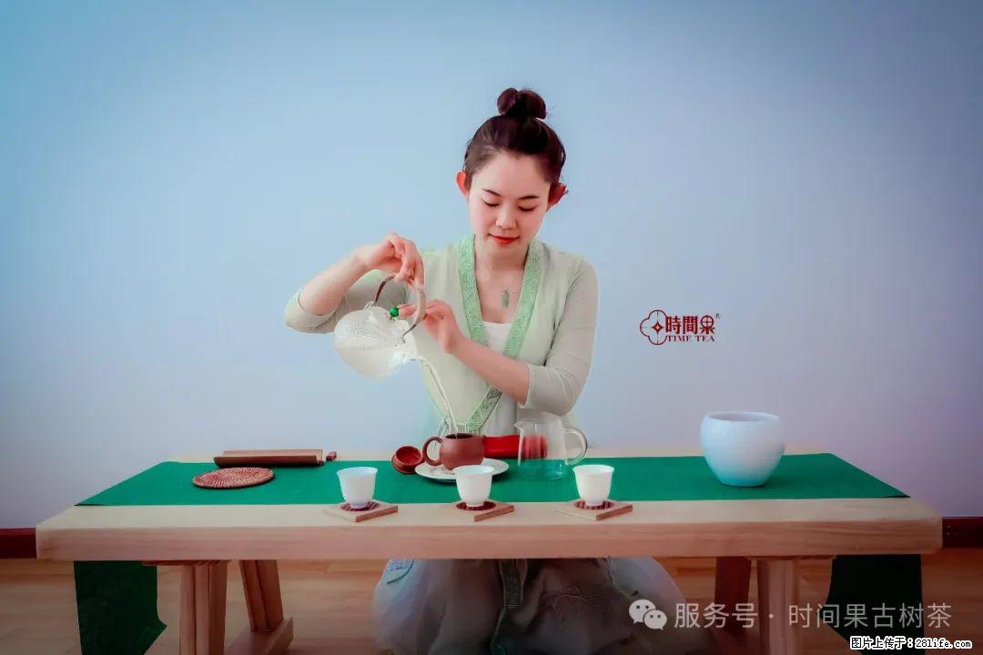 时间果百年古树龙珠普洱生茶 - 购物交流 - 石家庄生活社区 - 石家庄28生活网 sjz.28life.com