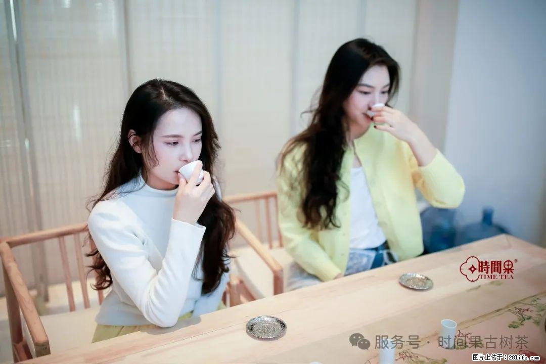 时间果百年古树龙珠普洱生茶 - 购物交流 - 石家庄生活社区 - 石家庄28生活网 sjz.28life.com