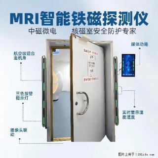 中磁微电核磁室智能铁磁探测器双立柱式金属探测系统主副柱可互换 - 石家庄28生活网 sjz.28life.com
