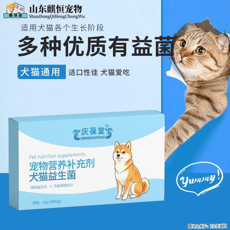 养猫养狗必囤好物，麒葆葆益生菌，守护毛孩肠胃日常安稳 - 其它 - 宠物信息 - 石家庄分类信息 - 石家庄28生活网 sjz.28life.com