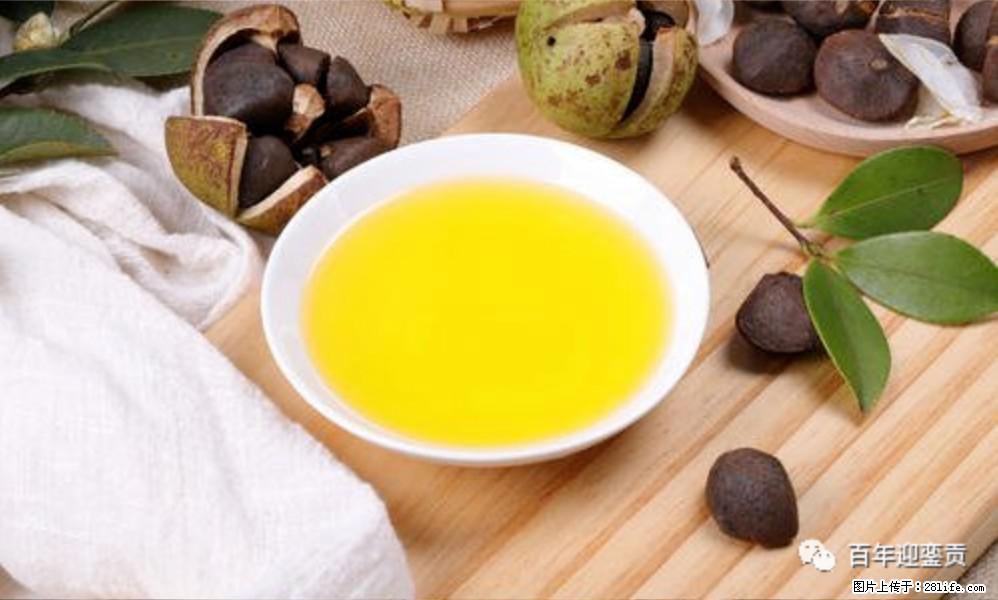 揭秘茶油的5大核心营养成分!被称为人体健康的“守护盾”! - 石家庄生活资讯 - 石家庄28生活网 sjz.28life.com