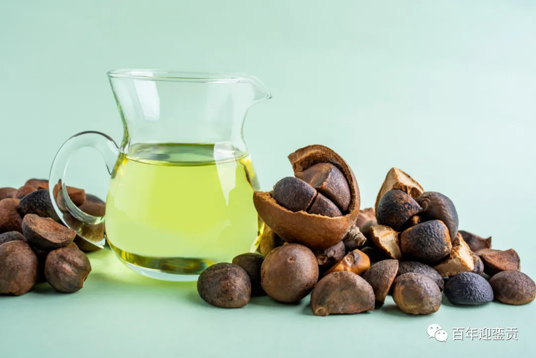 世界没有真相,只有认知,最好的食用油是中国的山茶油! - 石家庄生活资讯 - 石家庄28生活网 sjz.28life.com