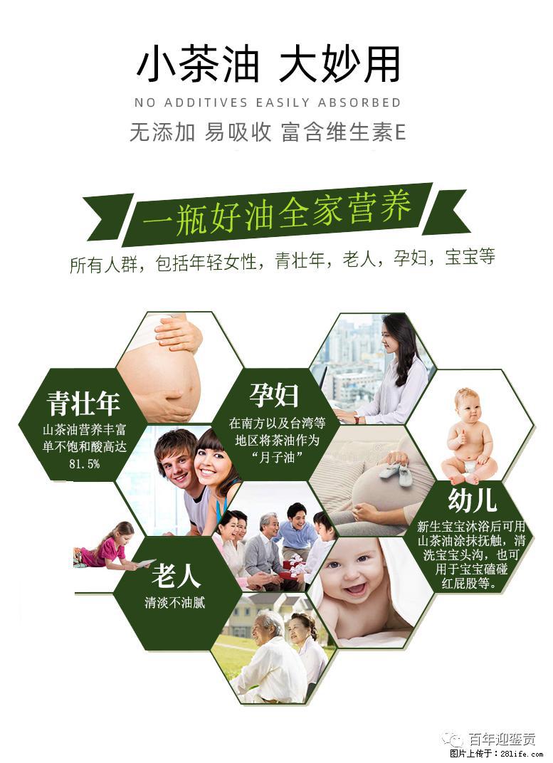 世界没有真相,只有认知,最好的食用油是中国的山茶油! - 石家庄生活资讯 - 石家庄28生活网 sjz.28life.com